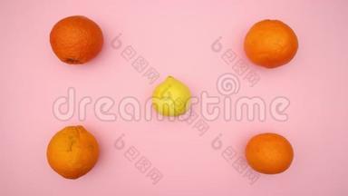 橘子和柠檬停止运动视频